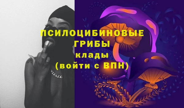 соль ск Беломорск