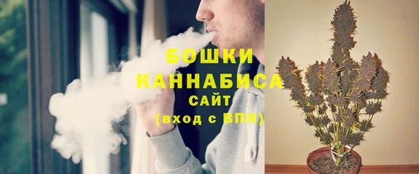 крисы Богородск