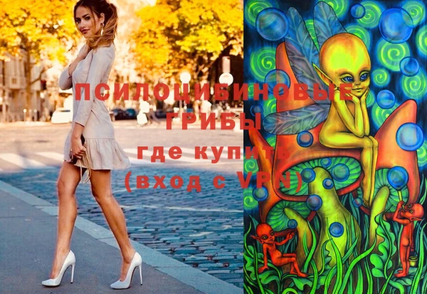 крисы Богородск