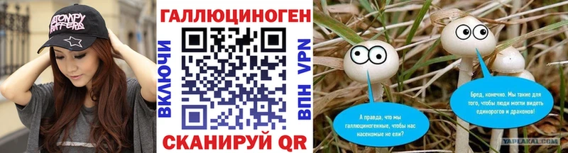 Галлюциногенные грибы Psilocybe  что такое наркотик  Вельск 