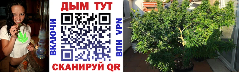 Бошки Шишки White Widow  OMG ССЫЛКА  Вельск 